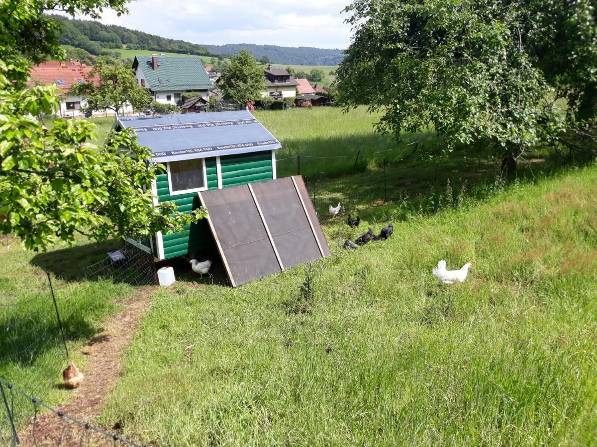 FeWo Am Neckarsteig Neckarsteinach Exterior foto